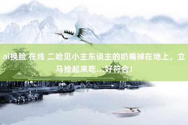 ai换脸 在线 二哈见小主东谈主的奶嘴掉在地上，立马捡起来吃...好符合！