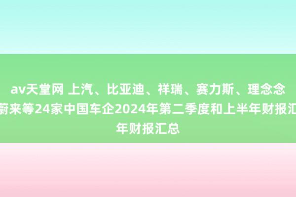 av天堂网 上汽、比亚迪、祥瑞、赛力斯、理念念、蔚来等24家中国车企2024年第二季度和上半年财报汇总