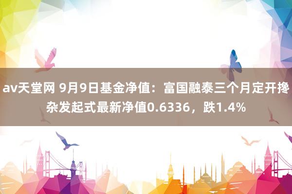 av天堂网 9月9日基金净值：富国融泰三个月定开搀杂发起式最新净值0.6336，跌1.4%