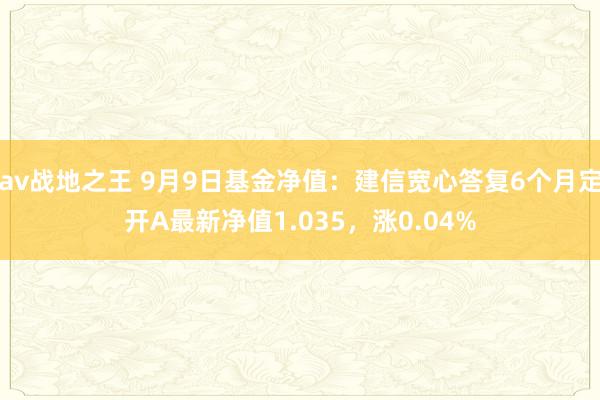 av战地之王 9月9日基金净值：建信宽心答复6个月定开A最新净值1.035，涨0.04%