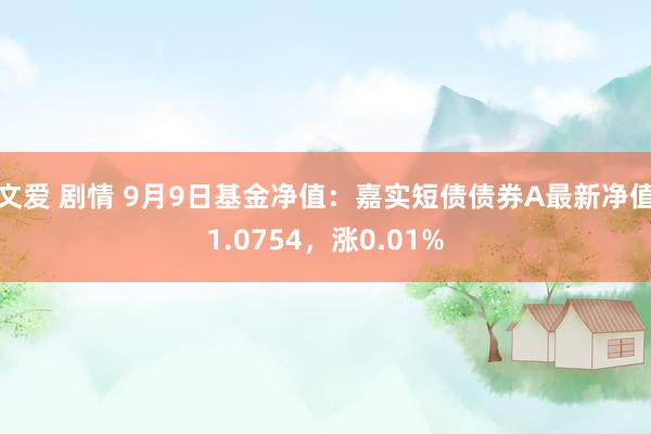 文爱 剧情 9月9日基金净值：嘉实短债债券A最新净值1.0754，涨0.01%