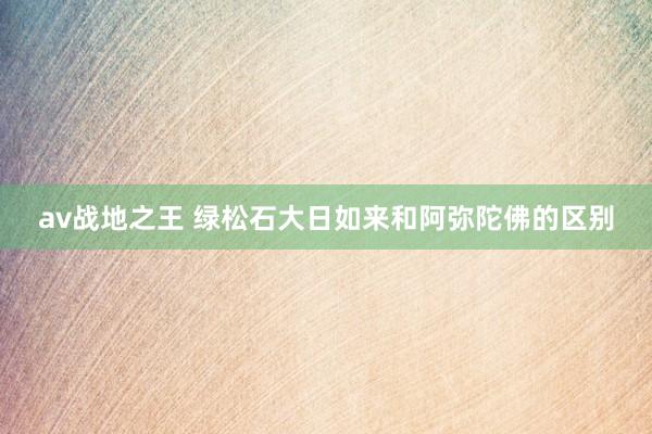 av战地之王 绿松石大日如来和阿弥陀佛的区别