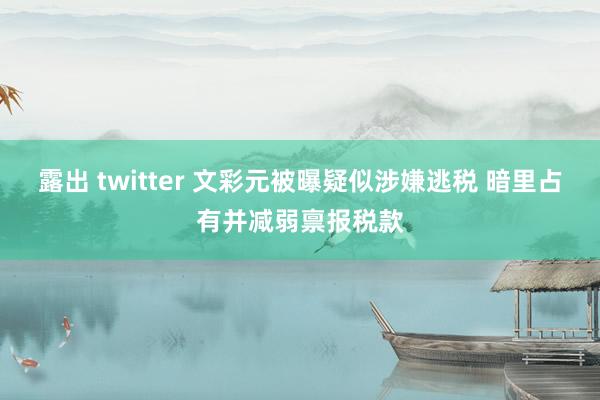 露出 twitter 文彩元被曝疑似涉嫌逃税 暗里占有并减弱禀报税款