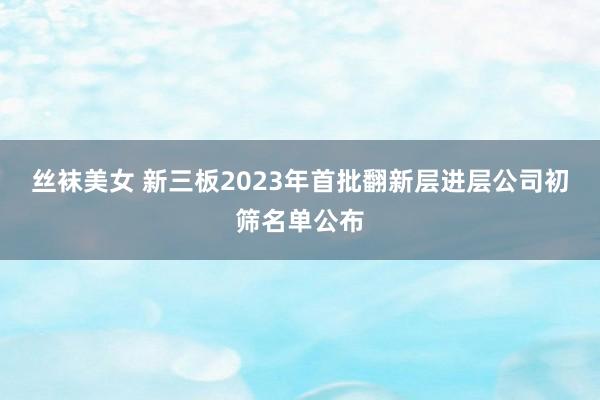 丝袜美女 新三板2023年首批翻新层进层公司初筛名单公布