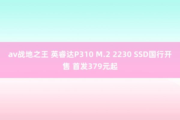 av战地之王 英睿达P310 M.2 2230 SSD国行开售 首发379元起