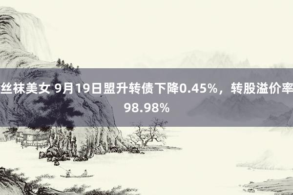 丝袜美女 9月19日盟升转债下降0.45%，转股溢价率98.98%