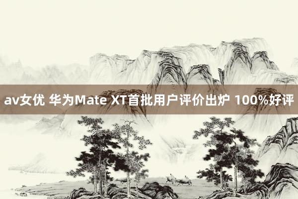 av女优 华为Mate XT首批用户评价出炉 100%好评