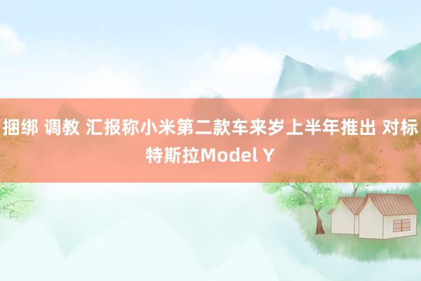 捆绑 调教 汇报称小米第二款车来岁上半年推出 对标特斯拉Model Y