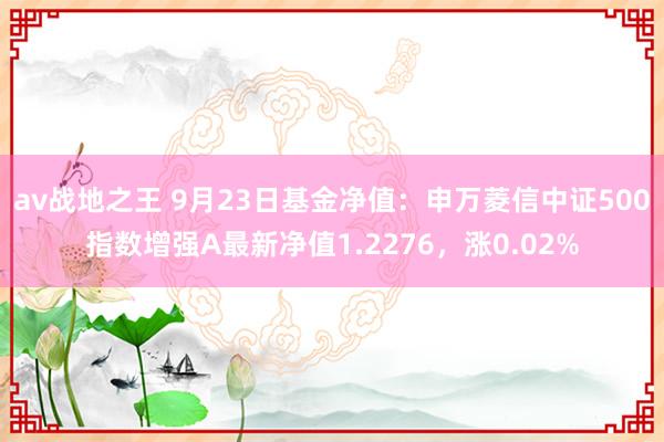 av战地之王 9月23日基金净值：申万菱信中证500指数增强A最新净值1.2276，涨0.02%