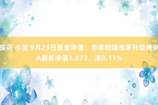 探花 小宝 9月23日基金净值：华泰柏瑞改革升级搀杂A最新净值1.873，涨0.11%