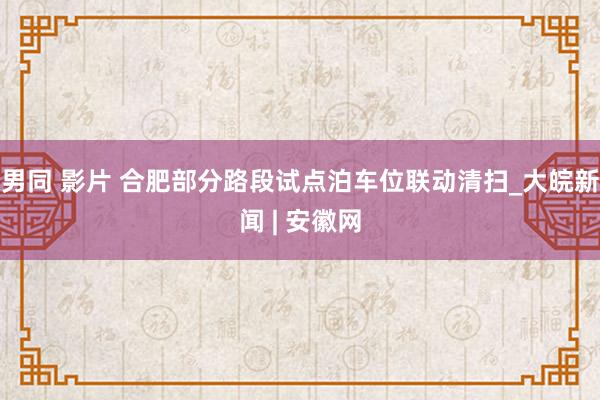 男同 影片 合肥部分路段试点泊车位联动清扫_大皖新闻 | 安徽网