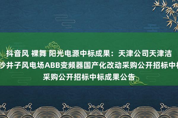 抖音风 裸舞 阳光电源中标成果：天津公司天津洁能2024年沙井子风电场ABB变频器国产化改动采购公开招标中标成果公告