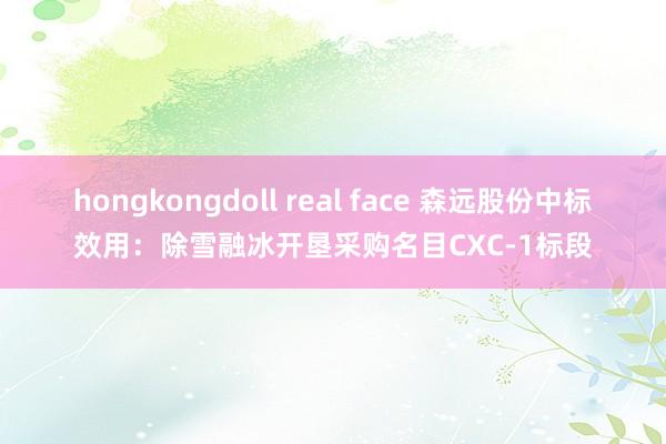 hongkongdoll real face 森远股份中标效用：除雪融冰开垦采购名目CXC-1标段