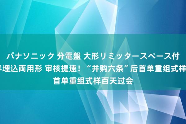 パナソニック 分電盤 大形リミッタースペース付 露出・半埋込両用形 审核提速！“并购六条”后首单重组式样百天过会