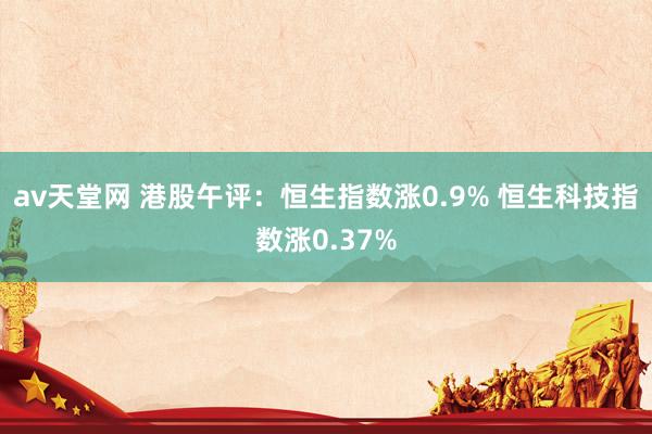 av天堂网 港股午评：恒生指数涨0.9% 恒生科技指数涨0.37%