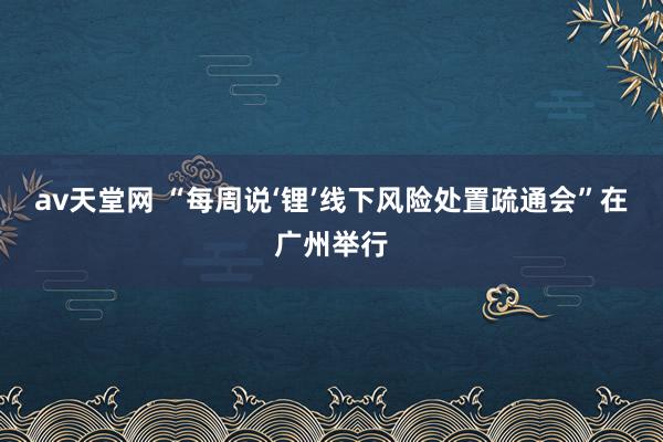 av天堂网 “每周说‘锂’线下风险处置疏通会”在广州举行