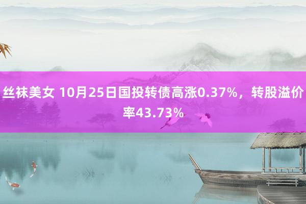 丝袜美女 10月25日国投转债高涨0.37%，转股溢价率43.73%