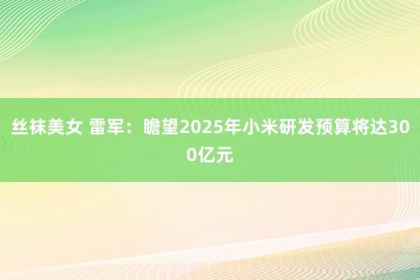 丝袜美女 雷军：瞻望2025年小米研发预算将达300亿元