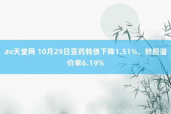 av天堂网 10月29日亚药转债下降1.51%，转股溢价率6.19%