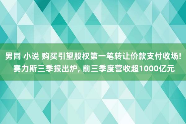 男同 小说 购买引望股权第一笔转让价款支付收场! 赛力斯三季报出炉， 前三季度营收超1000亿元