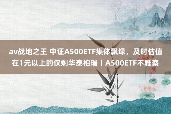 av战地之王 中证A500ETF集体飘绿，及时估值在1元以上的仅剩华泰柏瑞丨A500ETF不雅察