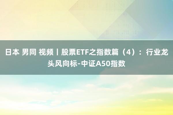 日本 男同 视频丨股票ETF之指数篇（4）：行业龙头风向标-中证A50指数