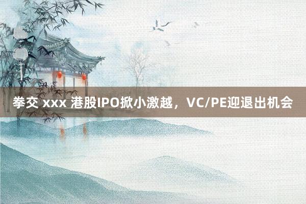 拳交 xxx 港股IPO掀小激越，VC/PE迎退出机会