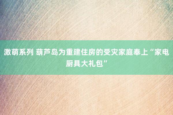 激萌系列 葫芦岛为重建住房的受灾家庭奉上“家电厨具大礼包”