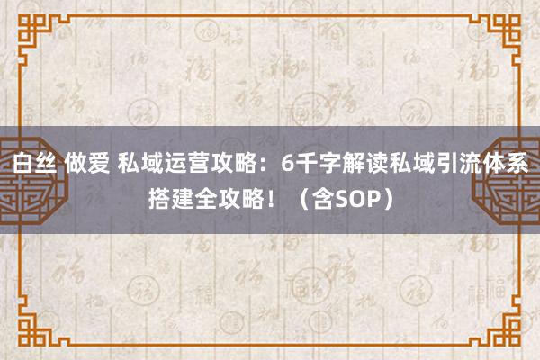 白丝 做爱 私域运营攻略：6千字解读私域引流体系搭建全攻略！（含SOP）