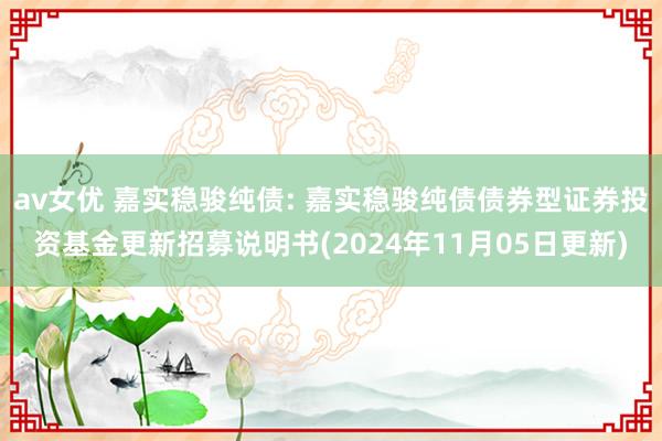 av女优 嘉实稳骏纯债: 嘉实稳骏纯债债券型证券投资基金更新招募说明书(2024年11月05日更新)