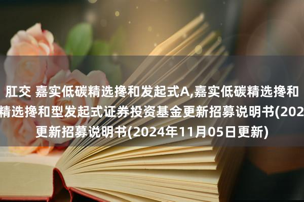 肛交 嘉实低碳精选搀和发起式A，嘉实低碳精选搀和发起式C: 嘉实低碳精选搀和型发起式证券投资基金更新招募说明书(2024年11月05日更新)