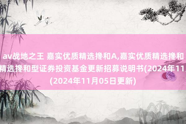 av战地之王 嘉实优质精选搀和A，嘉实优质精选搀和C: 嘉实优质精选搀和型证券投资基金更新招募说明书(2024年11月05日更新)