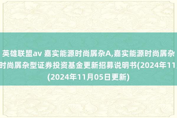 英雄联盟av 嘉实能源时尚羼杂A，嘉实能源时尚羼杂C: 嘉实能源时尚羼杂型证券投资基金更新招募说明书(2024年11月05日更新)