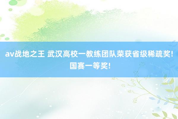 av战地之王 武汉高校一教练团队荣获省级稀疏奖! 国赛一等奖!