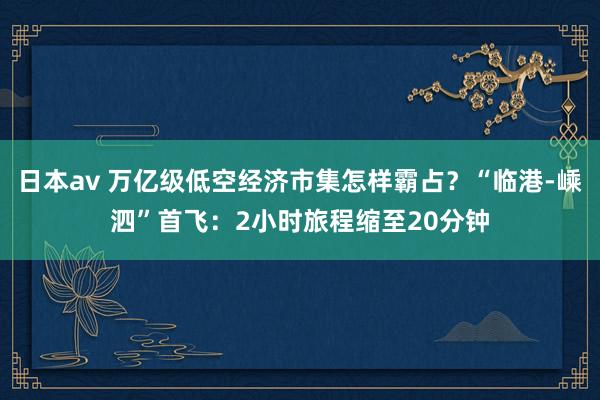 日本av 万亿级低空经济市集怎样霸占？“临港-嵊泗”首飞：2小时旅程缩至20分钟