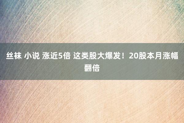 丝袜 小说 涨近5倍 这类股大爆发！20股本月涨幅翻倍