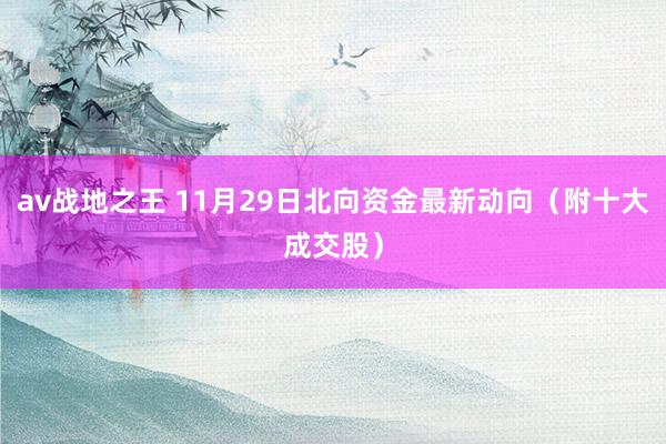 av战地之王 11月29日北向资金最新动向（附十大成交股）