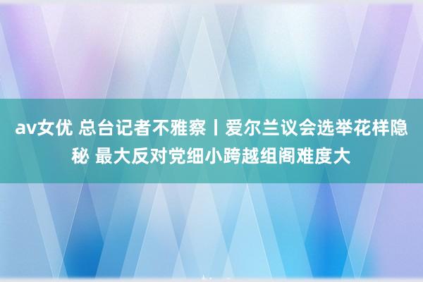 av女优 总台记者不雅察丨爱尔兰议会选举花样隐秘 最大反对党细小跨越组阁难度大