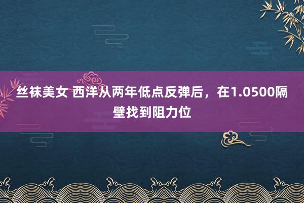 丝袜美女 西洋从两年低点反弹后，在1.0500隔壁找到阻力位