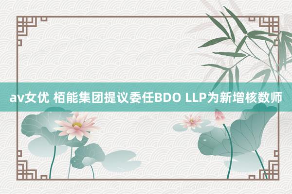 av女优 栢能集团提议委任BDO LLP为新增核数师