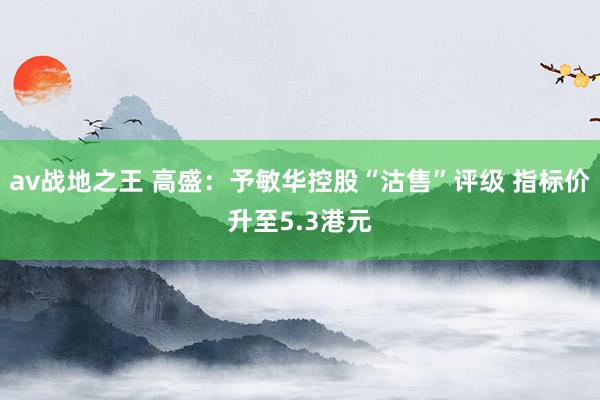 av战地之王 高盛：予敏华控股“沽售”评级 指标价升至5.3港元