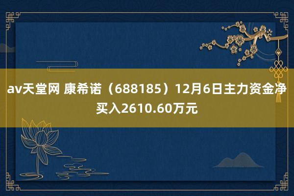 av天堂网 康希诺（688185）12月6日主力资金净买入2610.60万元