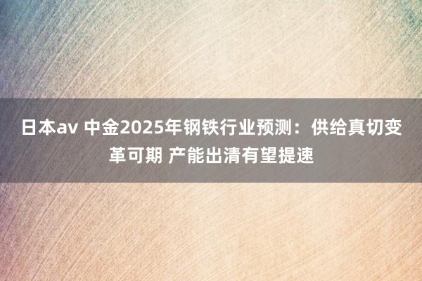 日本av 中金2025年钢铁行业预测：供给真切变革可期 产能出清有望提速