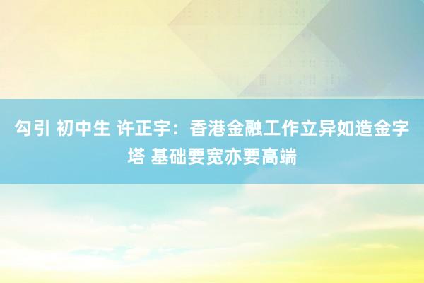 勾引 初中生 许正宇：香港金融工作立异如造金字塔 基础要宽亦要高端