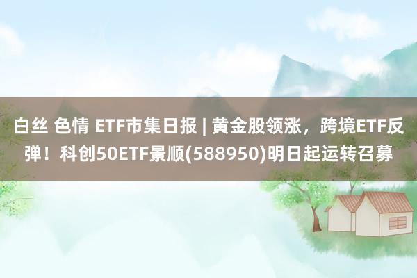 白丝 色情 ETF市集日报 | 黄金股领涨，跨境ETF反弹！科创50ETF景顺(588950)明日起运转召募