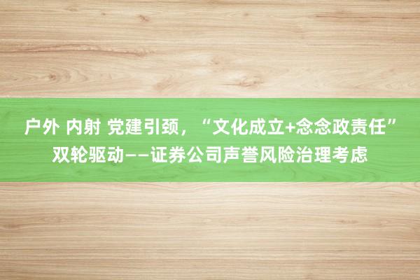 户外 内射 党建引颈，“文化成立+念念政责任”双轮驱动——证券公司声誉风险治理考虑