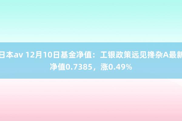 日本av 12月10日基金净值：工银政策远见搀杂A最新净值0.7385，涨0.49%