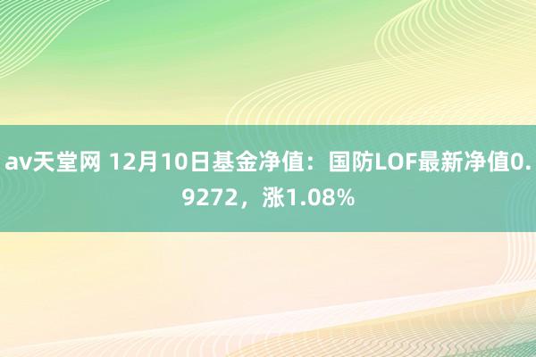 av天堂网 12月10日基金净值：国防LOF最新净值0.9272，涨1.08%