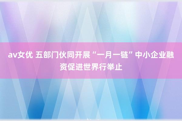 av女优 五部门伙同开展“一月一链”中小企业融资促进世界行举止