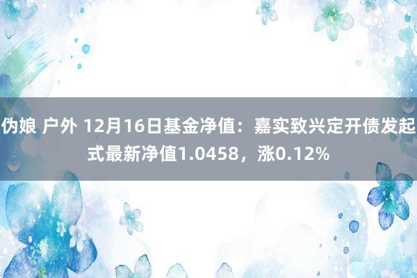 伪娘 户外 12月16日基金净值：嘉实致兴定开债发起式最新净值1.0458，涨0.12%